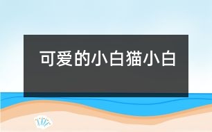 可愛的小白貓——小白