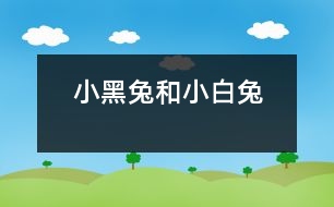 小黑兔和小白兔