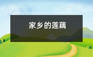 家鄉(xiāng)的蓮藕