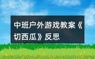 中班戶外游戲教案《切西瓜》反思