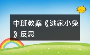 中班教案《逃家小兔》反思