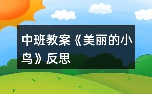 中班教案《美麗的小鳥(niǎo)》反思