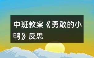 中班教案《勇敢的小鴨》反思