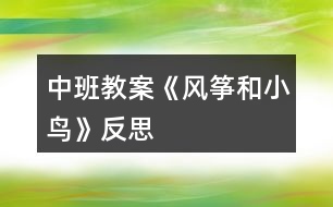 中班教案《風(fēng)箏和小鳥(niǎo)》反思