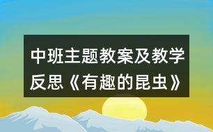 中班主題教案及教學(xué)反思《有趣的昆蟲(chóng)》