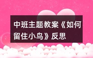 中班主題教案《如何留住小鳥》反思