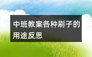 中班教案各種刷子的用途反思