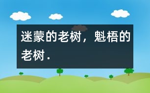 迷蒙的老樹，魁梧的老樹．