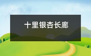 十里銀杏長(zhǎng)廊