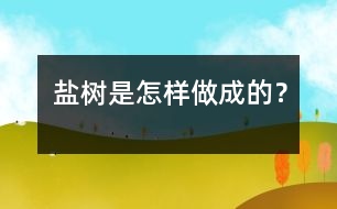 鹽樹是怎樣做成的？