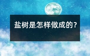 鹽樹是怎樣做成的？