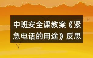 中班安全課教案《緊急電話的用途》反思