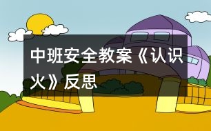 中班安全教案《認(rèn)識(shí)火》反思