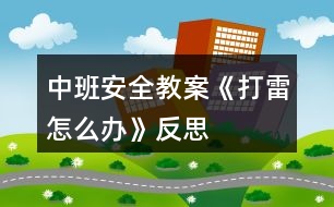 中班安全教案《打雷怎么辦》反思