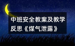 中班安全教案及教學(xué)反思《煤氣泄露》