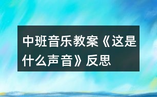 中班音樂教案《這是什么聲音》反思