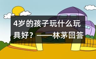 4歲的孩子玩什么玩具好？――林茅回答