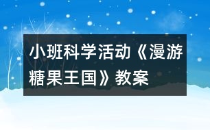 小班科學(xué)活動(dòng)：《漫游糖果王國》教案