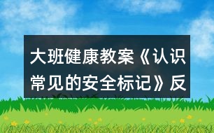 大班健康教案《認(rèn)識(shí)常見(jiàn)的安全標(biāo)記》反思