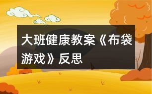 大班健康教案《布袋游戲》反思