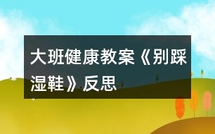 大班健康教案《別踩濕鞋》反思