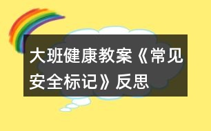 大班健康教案《常見(jiàn)安全標(biāo)記》反思