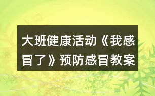 大班健康活動(dòng)《我感冒了》預(yù)防感冒教案反思