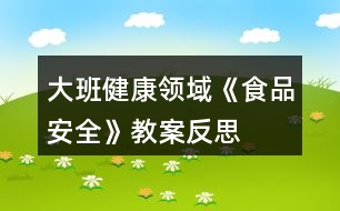 大班健康領域《食品安全》教案反思