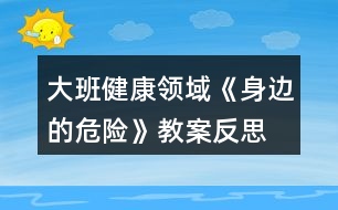 大班健康領(lǐng)域《身邊的危險(xiǎn)》教案反思