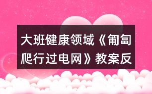 大班健康領(lǐng)域《匍匐爬行過電網(wǎng)》教案反思