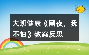 大班健康《黑夜，我不怕》教案反思