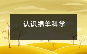 認(rèn)識(shí)綿羊（科學(xué)）