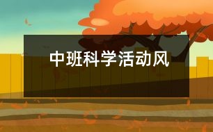 中班科學(xué)活動：風