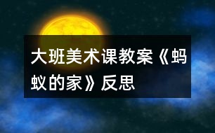 大班美術(shù)課教案《螞蟻的家》反思