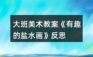 大班美術(shù)教案《有趣的鹽水畫》反思