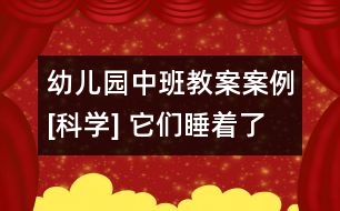 幼兒園中班教案案例[科學(xué)] 它們睡著了