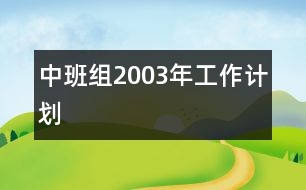 中班組2003年工作計劃