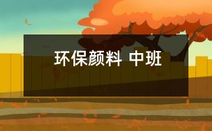 環(huán)保顏料 （中班）