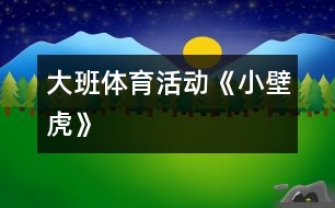 大班體育活動《小壁虎》