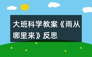 大班科學(xué)教案《雨從哪里來(lái)》反思