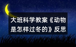 大班科學(xué)教案《動物是怎樣過冬的》反思