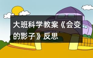 大班科學(xué)教案《會變的影子》反思