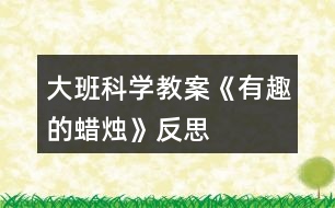 大班科學教案《有趣的蠟燭》反思