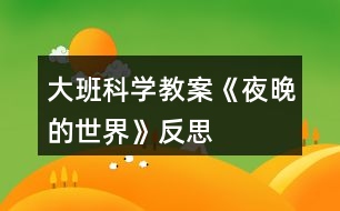 大班科學教案《夜晚的世界》反思