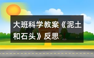 大班科學(xué)教案《泥土和石頭》反思