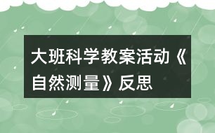 大班科學(xué)教案活動(dòng)《自然測量》反思