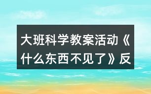 大班科學教案活動《什么東西不見了》反思