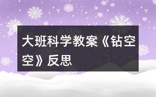 大班科學教案《鉆空空》反思