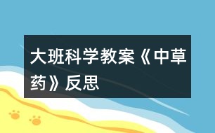 大班科學(xué)教案《中草藥》反思