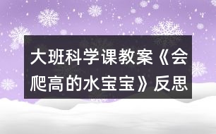 大班科學(xué)課教案《會(huì)爬高的水寶寶》反思